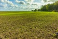 Green Agricultural Farm Field with Blue Sky and White Clouds in the Background,ÃÂ Grassland,ÃÂ Country Meadow Landscape,ÃÂ .World Royalty Free Stock Photo